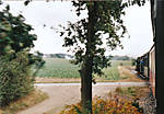 1116skb81.jpg