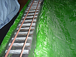 429P1020986.png