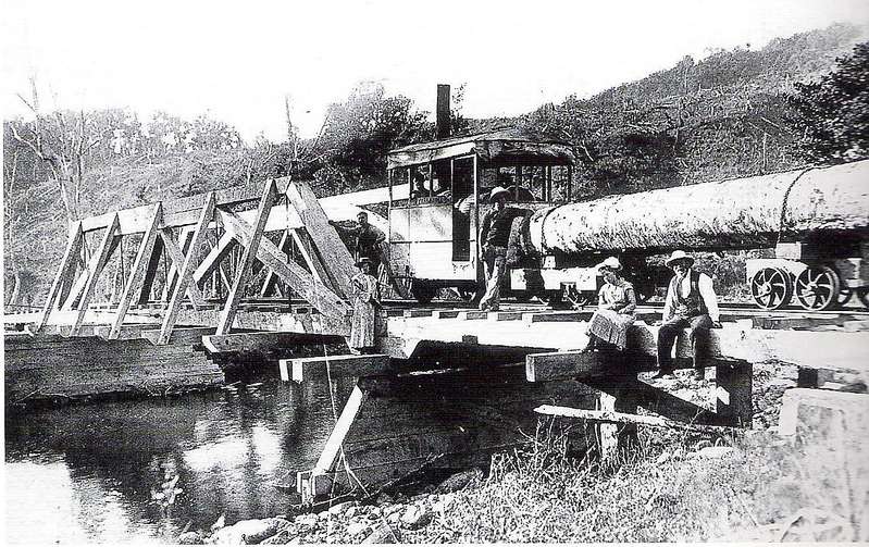 NZ_bush_tram_Merryweather-KL