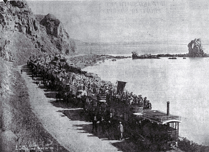 NZ_Kitson (Bj. 1881)