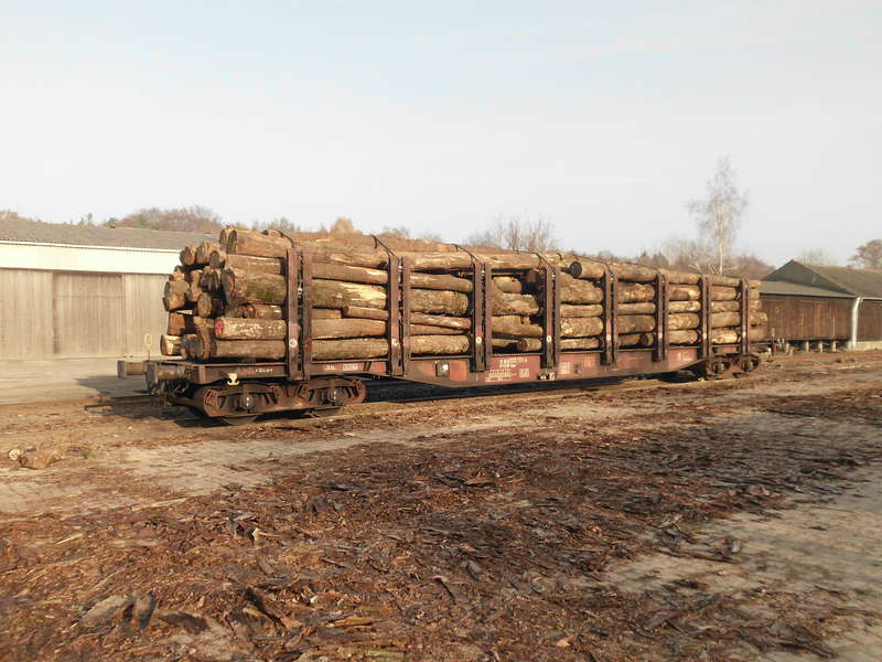 Holztransport - täglich Brot bei Jan Harpstedt