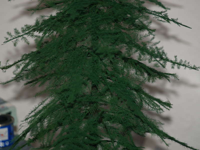 Fichte Detail