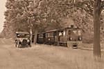3560100_1.jpg
