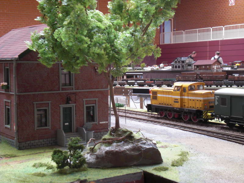 CIMG3744