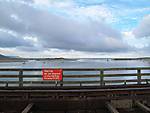 741IMG_5591_small.jpg