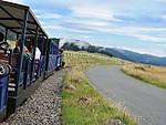 741IMG_5685_small.jpg