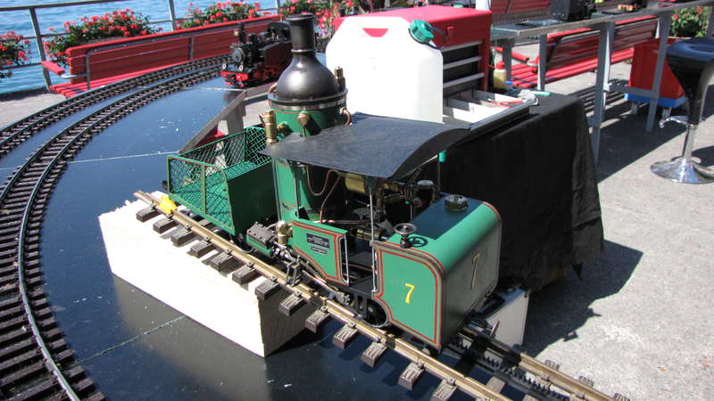 Lok 7
