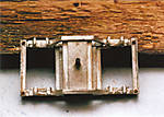 1116rb137.jpg