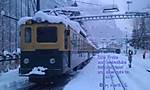 5018Weihnachten_2012.jpg