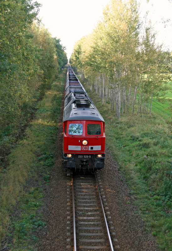 WEM2011