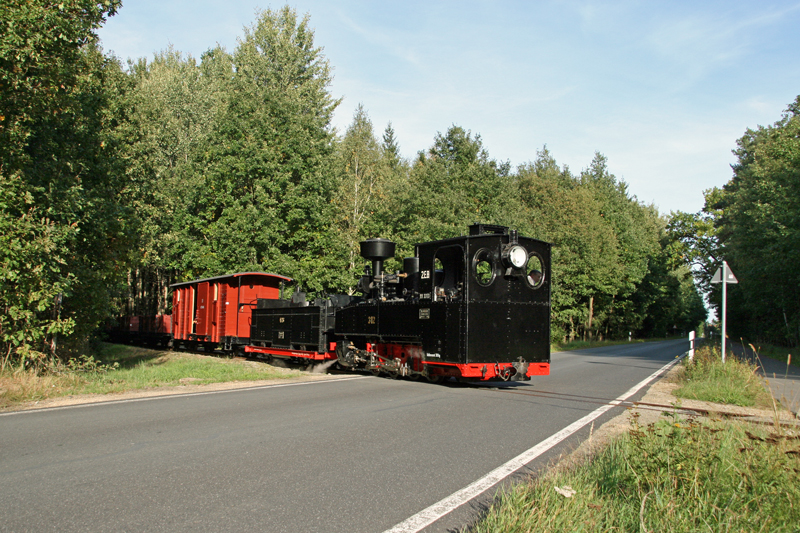 WEM2011