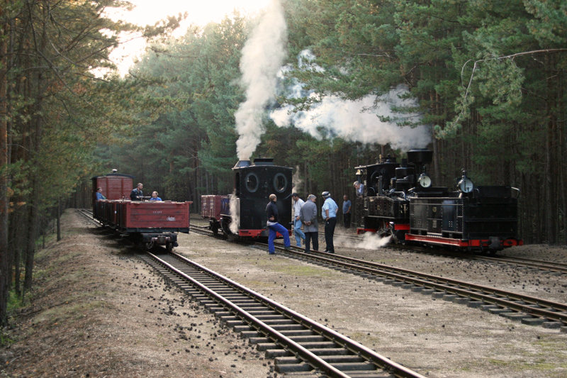 WEM2011
