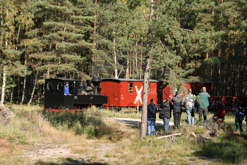 WEM2011