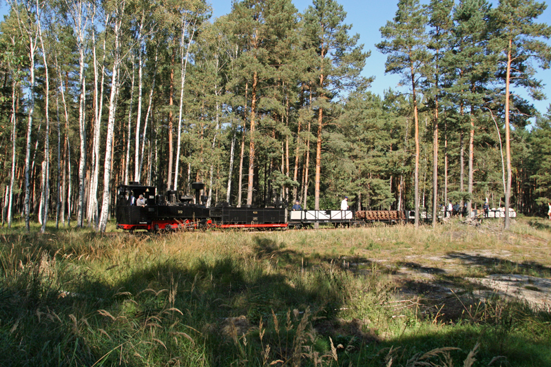 WEM2011