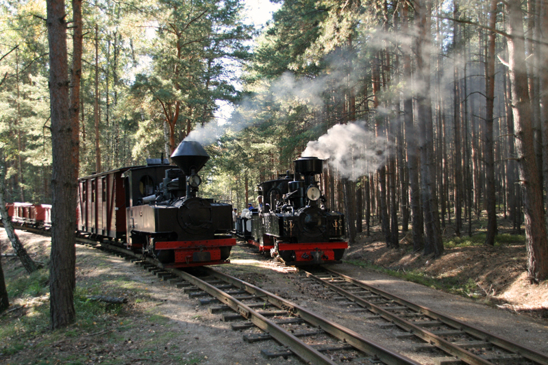 WEM2011