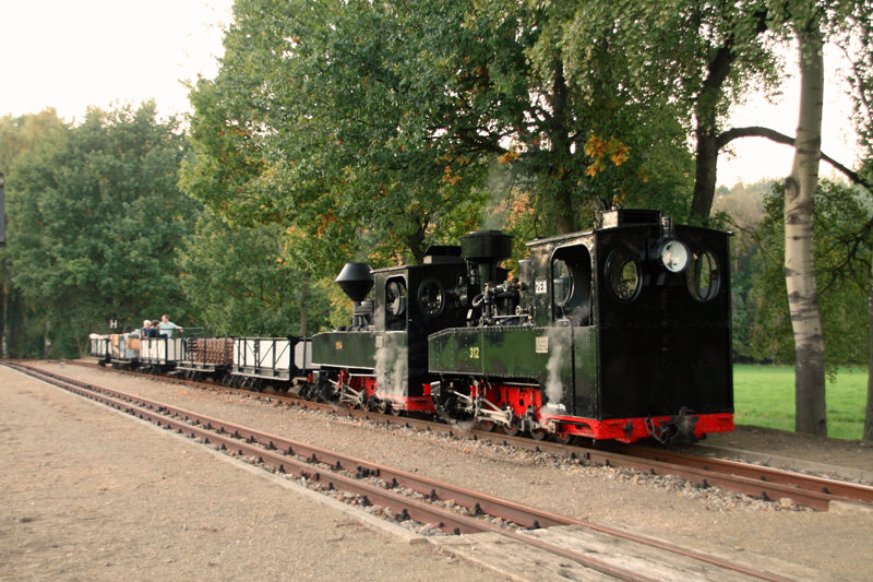 WEM2011