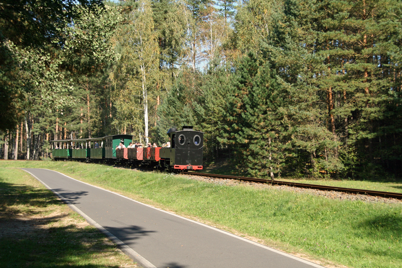 WEM2011