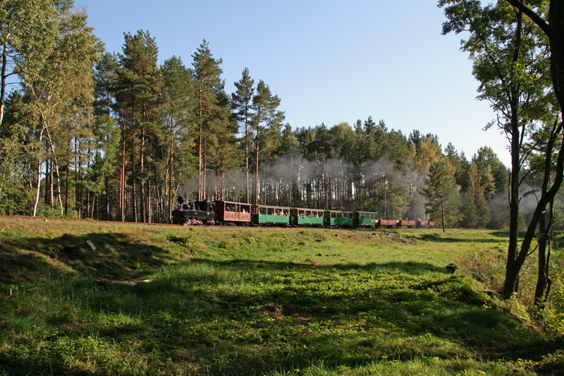 WEM2011