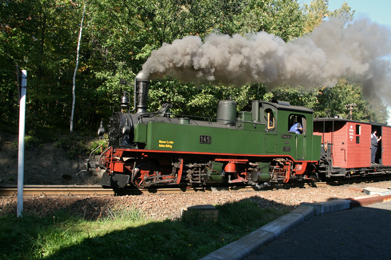WEM 2011