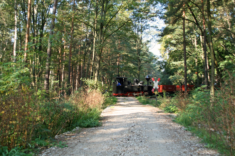 WEM2011