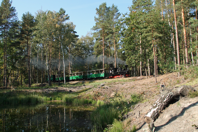 WEM2011