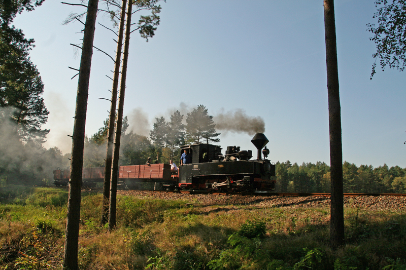 WEM2011