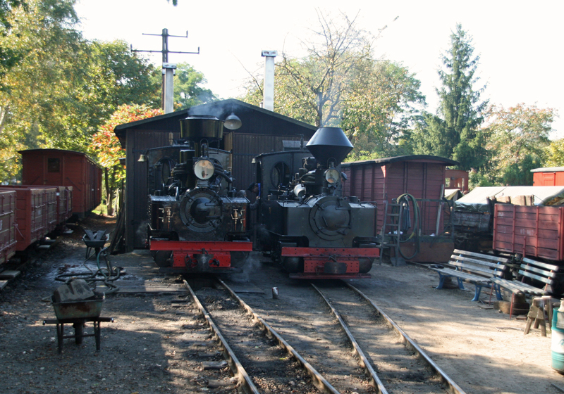 WEM2011
