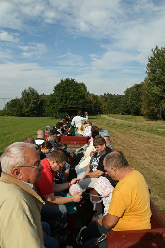 WEM2011