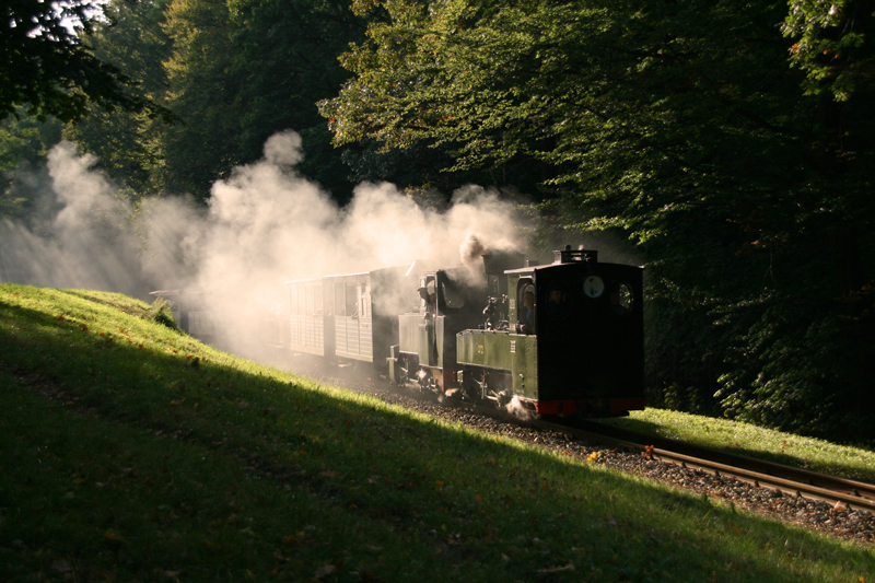 WEM2011