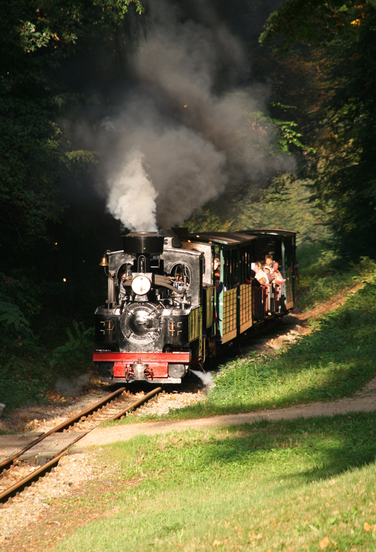 WEM2011