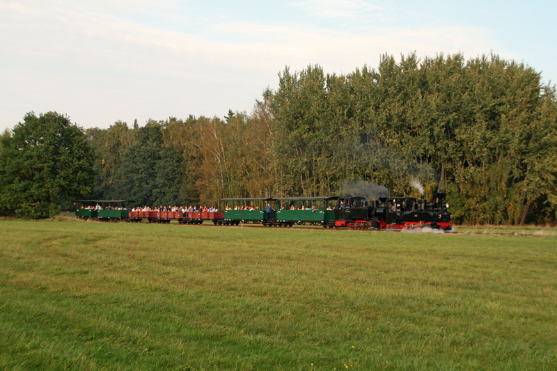 WEM2011