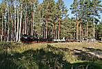 80WEM_2011-09-30_9259.jpg