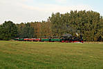 80WEM_2011-10-03_8731.jpg