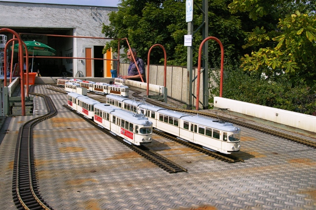 D_wag23