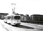 11364359wg.jpg