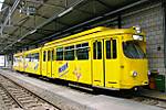 1136D_wag29.JPG