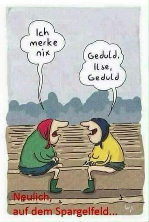 Männer-Modellbau. Frauen-???