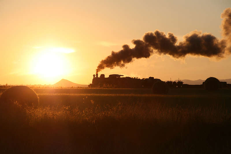 Kalahari Sunrise