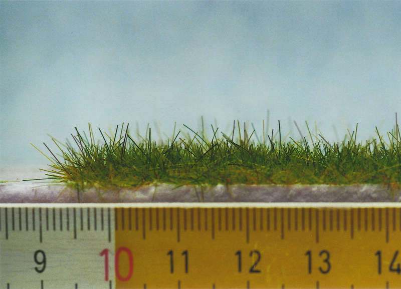 Gras07