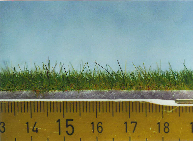 Gras08