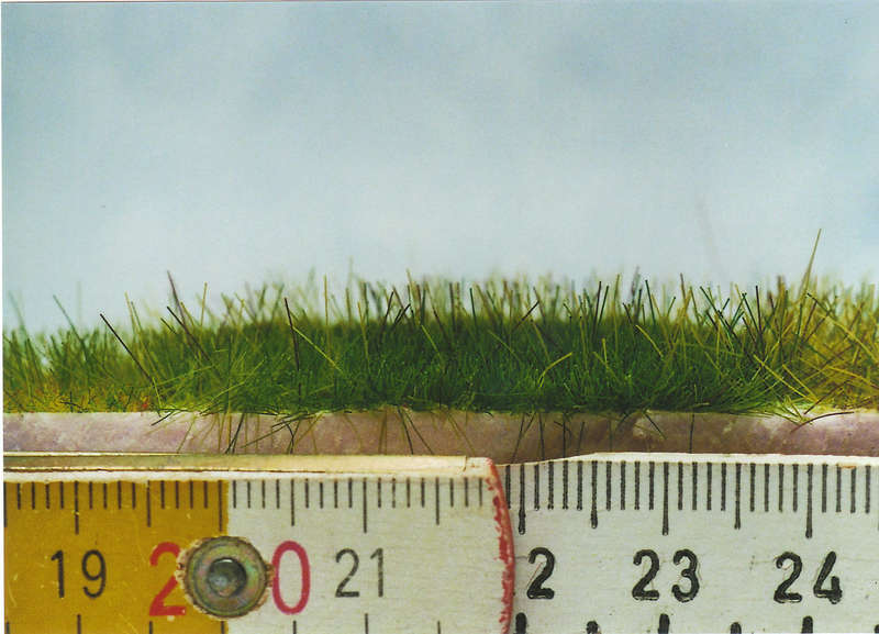 Gras09