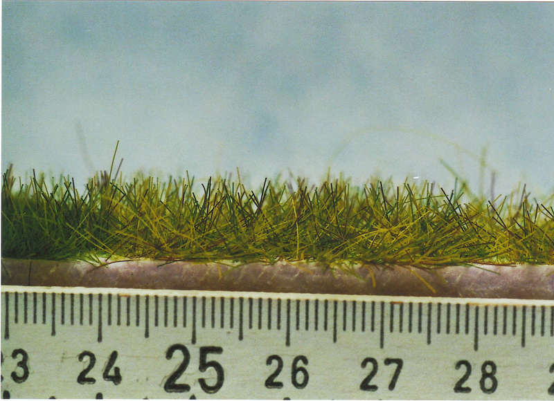 Gras10