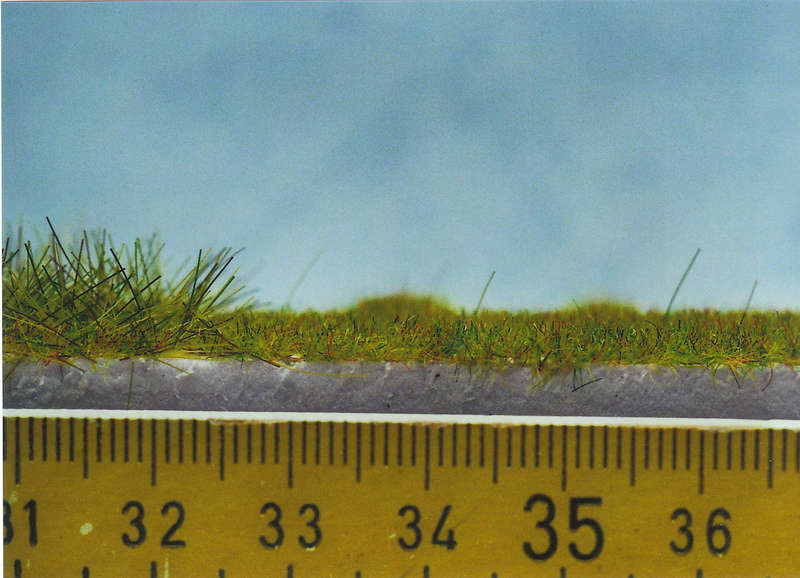 Gras12