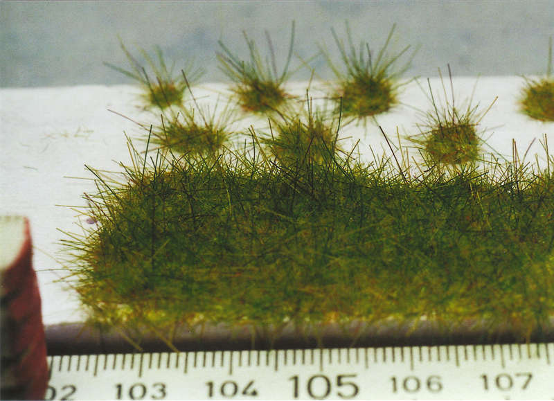 Gras13