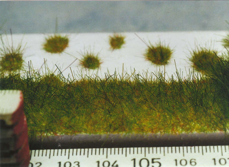 Gras14