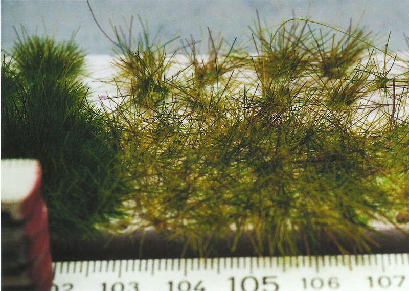 Gras16