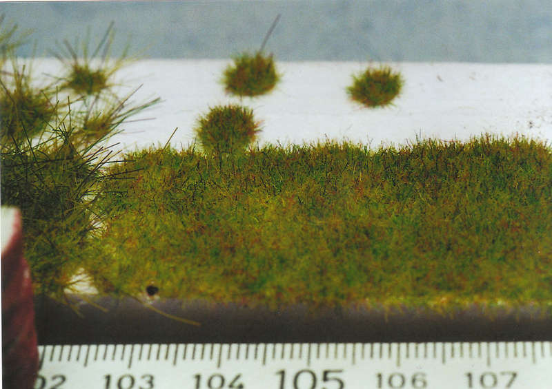 Gras18
