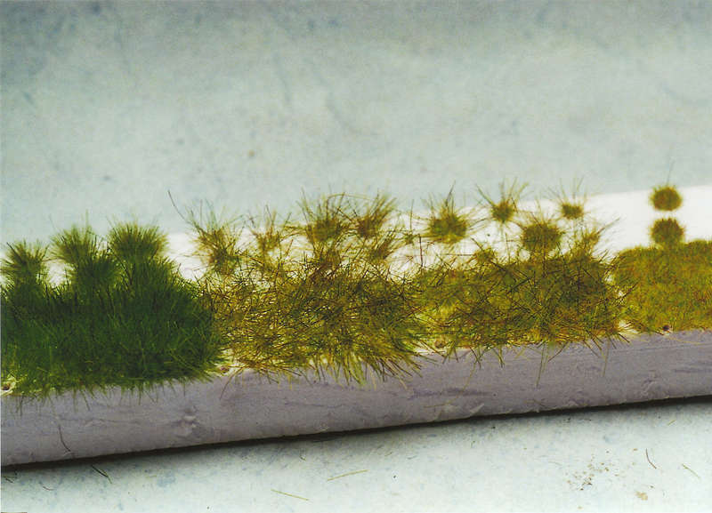 Gras19