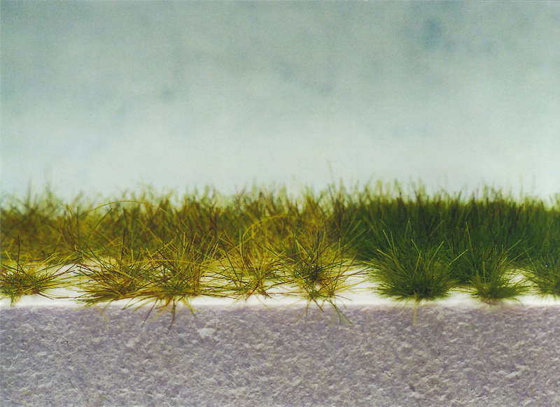 Gras21