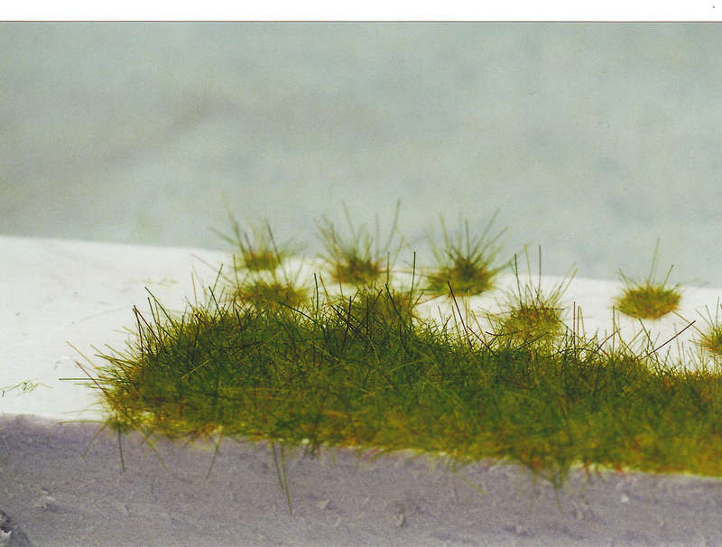 Gras22